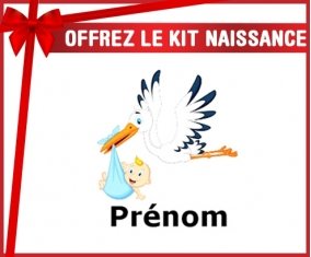 Kit naissance: Cigogne (garçon) + prénom-su7.fr