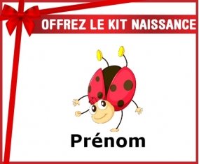 Kit naissance: Coccinelle cœur + prénom-su7.fr