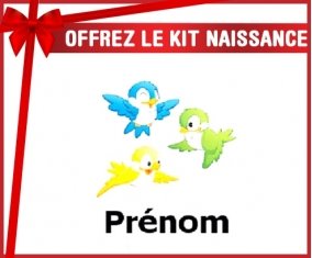Kit naissance: Oiseaux style1 + prénom-su7.fr