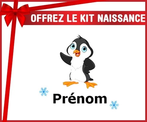 Kit naissance: Pingouin + prénom-su7.fr