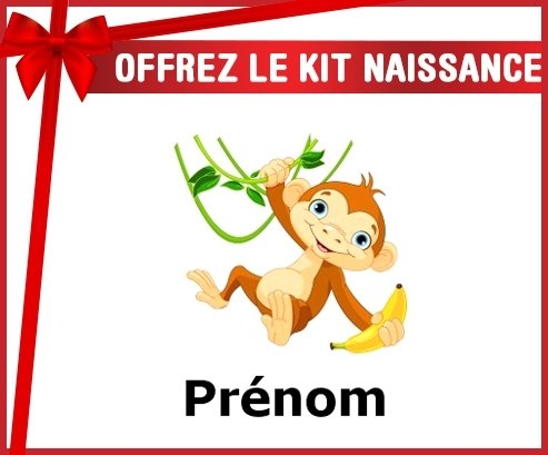 Kit naissance: Singe style1 + prénom-su7.fr