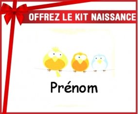 Kit naissance: 3 Oiseaux + prénom-su7.fr