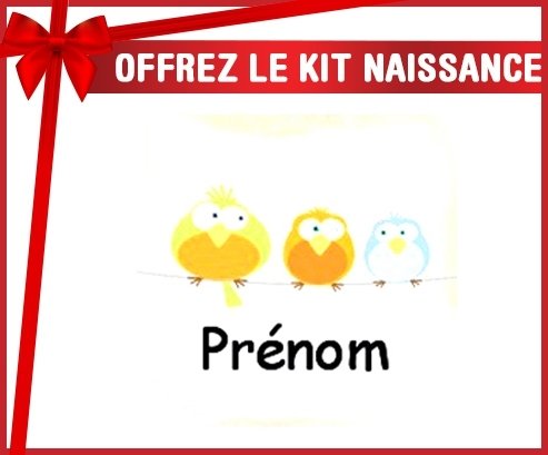 Kit naissance: 3 Oiseaux + prénom-su7.fr