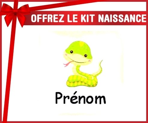 Kit naissance: Serpent + prénom-su7.fr