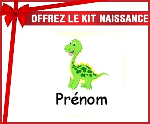 Kit naissance: Dinosaure + prénom-su7.fr
