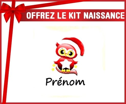 Kit naissance: Hibou de noël + prénom-su7.fr