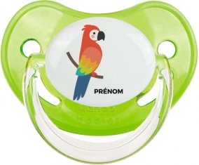 Perroquet + prénom : Sucette Vert classique embout physiologique