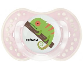 Camelion + prénom : 0/6 mois - Retro-rose-tendre classique embout Lovi Dynamic
