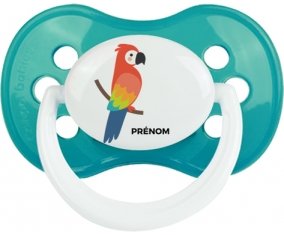 Perroquet + prénom : Turquoise classique embout anatomique