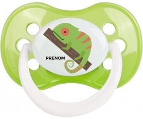 Camelion + prénom : Vert classique embout anatomique