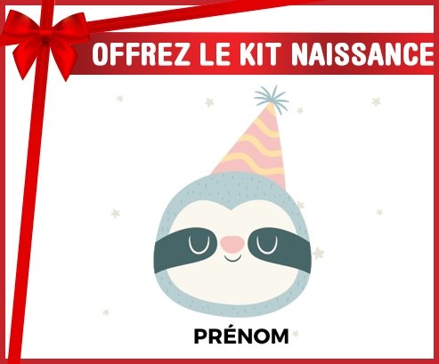 Kit naissance Paresseux anniversaire + prénom personnalisé pour bébé