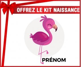 Kit naissance Flamant rose + prénom personnalisé pour bébé