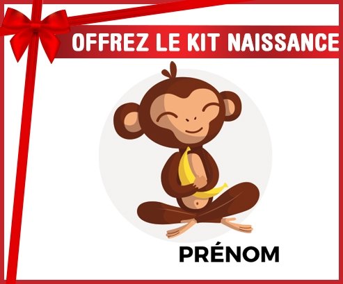 Kit naissance Singe style 3 + prénom personnalisé pour bébé