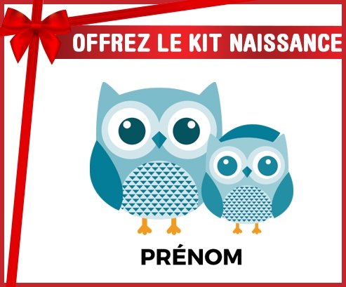 Kit naissance 3 hiboux + prénom personnalisé pour bébé