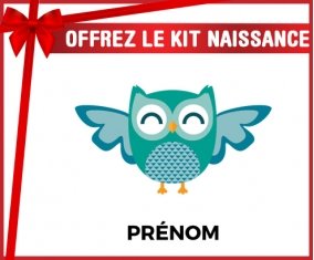 Kit naissance hibou rigolo + prénom personnalisé pour bébé
