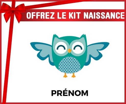 Kit naissance hibou rigolo + prénom personnalisé pour bébé