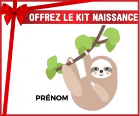 Kit naissance Paresseux arbre style 1 + prénom personnalisé pour bébé