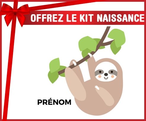 Kit naissance Paresseux arbre style 1 + prénom personnalisé pour bébé
