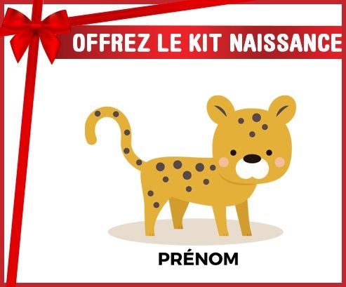 Kit naissance Tigre style 2 + prénom personnalisé pour bébé