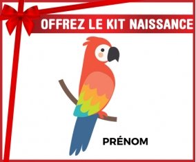 Kit naissance Perroquet + prénom personnalisé pour bébé
