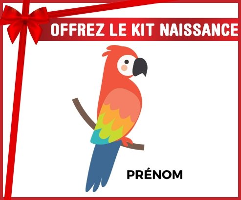 Kit naissance Perroquet + prénom personnalisé pour bébé