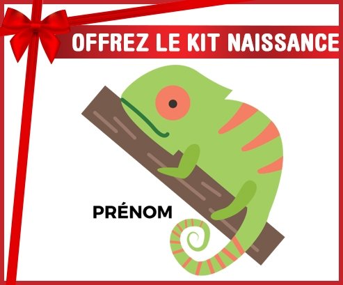 Kit naissance Camelion + prénom personnalisé pour bébé