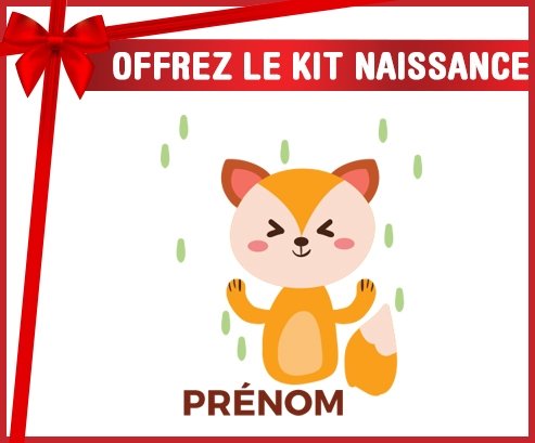 Kit naissance Renard style 1 + prénom personnalisé pour bébé