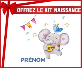 Kit naissance Éléphant party + prénom personnalisé pour bébé