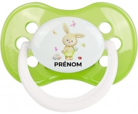 Lapin papillon voiture avec prénom : Vert classique Tétine embout anatomique