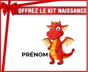 kit naissance bébé personnalisé Dragon design-5 avec prénom