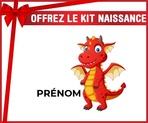 kit naissance bébé personnalisé Dragon design-5 avec prénom