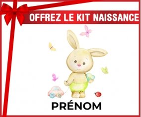 kit naissance bébé personnalisé Lapin papillon voiture avec prénom