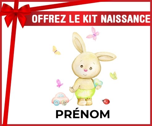 kit naissance bébé personnalisé Lapin papillon voiture avec prénom
