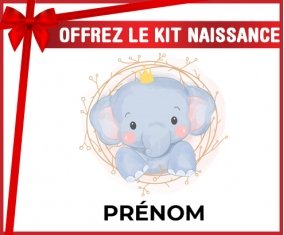kit naissance bébé personnalisé Éléphant couronne jaune avec prénom