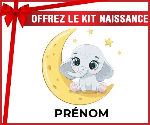 kit naissance bébé personnalisé Bébé éléphant bonne nuit avec prénom