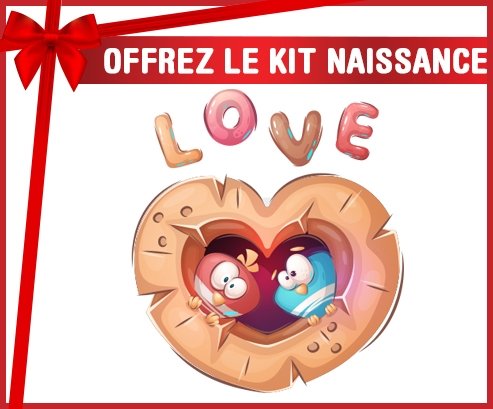 kit naissance bébé personnalisé Animaux rigolos hiboux Love