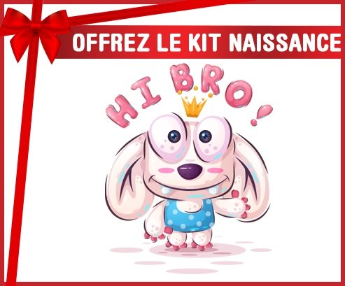 kit naissance bébé personnalisé Animaux rigolos Hi Bro !