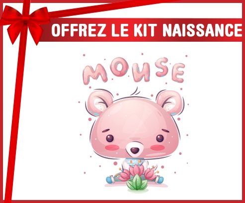 kit naissance bébé personnalisé Animaux rigolos Mouse