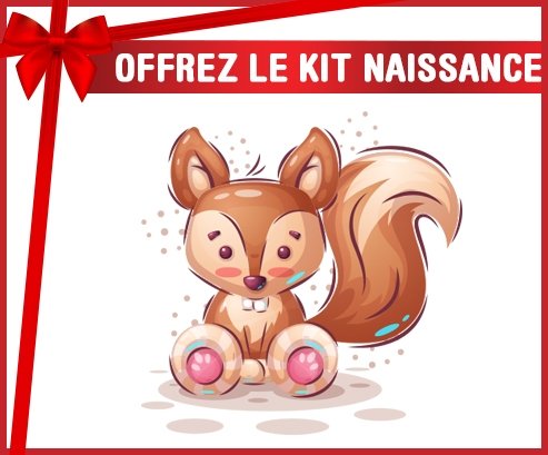 kit naissance bébé personnalisé Animaux rigolos Écureuil