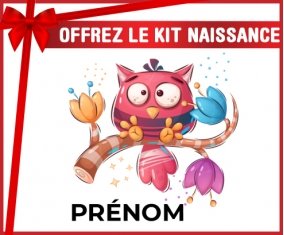 kit naissance bébé personnalisé Animaux rigolos Hibou avec prénom