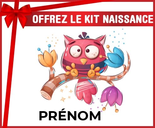 kit naissance bébé personnalisé Animaux rigolos Hibou avec prénom
