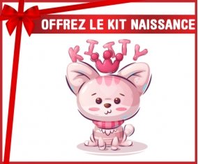 kit naissance bébé personnalisé Animaux rigolos Kitty