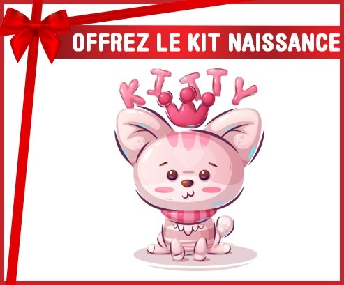 kit naissance bébé personnalisé Animaux rigolos Kitty