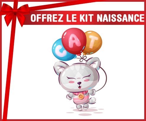 kit naissance bébé personnalisé Animaux rigolos Cat design-2