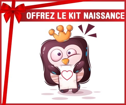 kit naissance bébé personnalisé Animaux rigolos Pinguin lettre cœur
