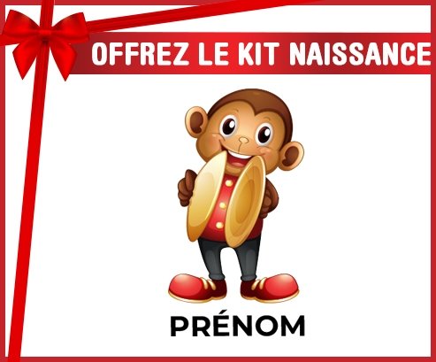 kit naissance bébé personnalisé Jouet toys singe avec prénom