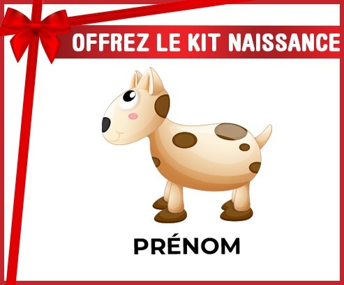 kit naissance bébé personnalisé Jouet toys vache avec prénom