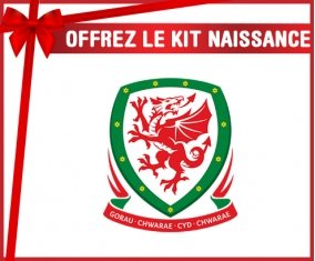 kit naissance bébé personnalisé Wales national football team