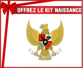kit naissance bébé personnalisé Indonesia national football team