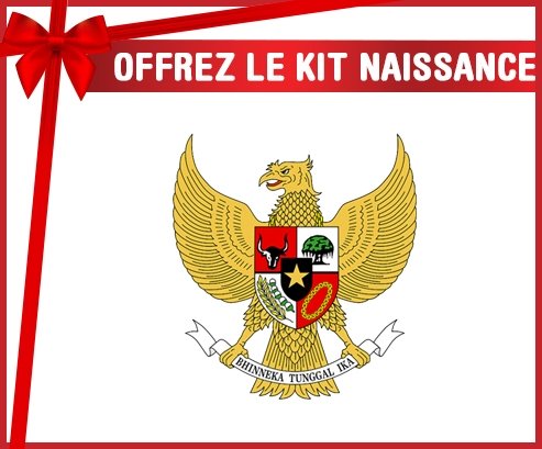 kit naissance bébé personnalisé Indonesia national football team